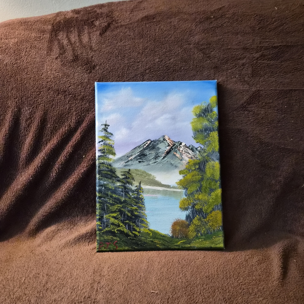 Hand Painted Canvas Oil Paint Bob Ross Inspired Landscape Impressiontic